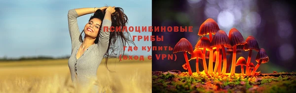 кокаин перу Дмитриев