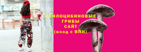кокаин перу Дмитриев