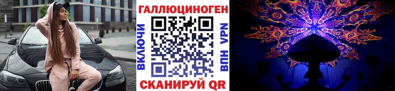 Купить закладки  Талдом  Галлюциногенные грибы Cubensis 